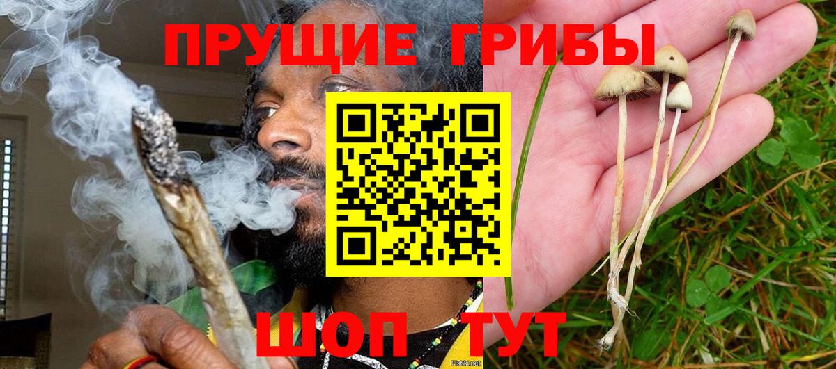 Галлюциногенные грибы MAGIC MUSHROOMS  Вход с VPN  Псилоцибиновые грибы прущие грибы  Домодедово 